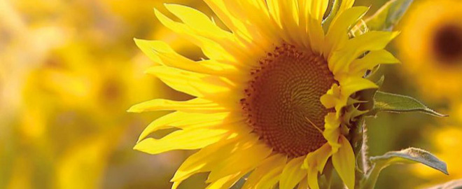 Abteilung_Symbolbild_Brustzentrum_270