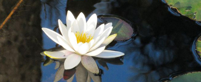 Abteilung_Symbolbild_GZ_270