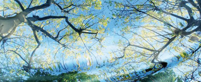 Abteilung_Symbolbild_Lungenzentrum_270